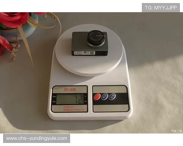 云顶公司如何科学命名：融合企业愿景与市场需求的方法