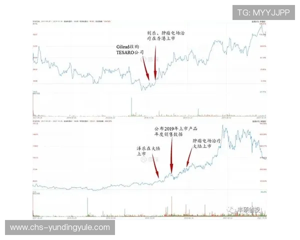 云顶新耀官网注册常见问题及解决方法全面解析