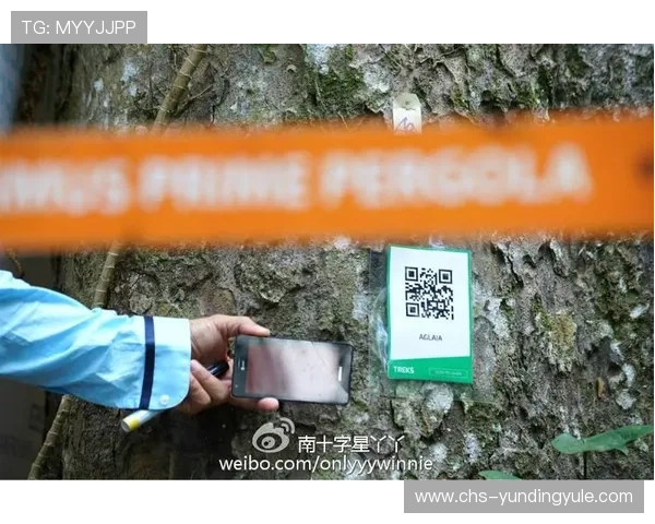 云顶赌场的地址信息和周边交通指南全面解析 云顶赌场的地址信息和周边交通指南全面解析