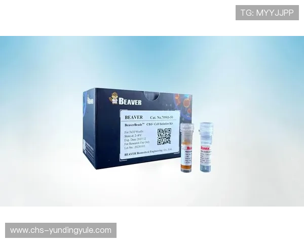 云顶集团4008om客户服务与技术支持全方位介绍保障玩家权益的服务体系 云顶集团4008om客户服务与技术支持全方位介绍保障玩家权益的服务体系